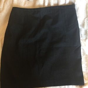 Express Pencil Skirt
